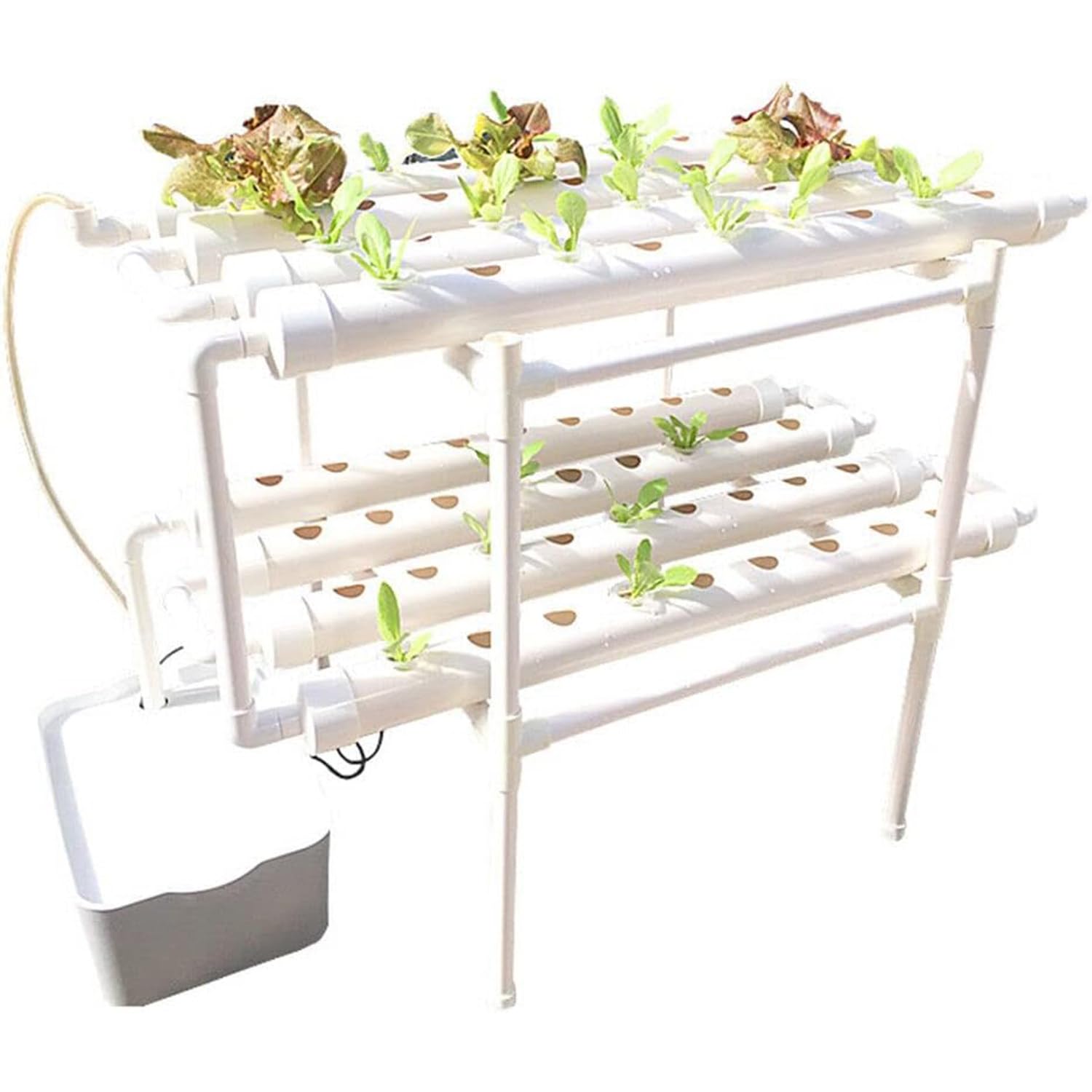 Kit de Cultivo hidropónico, Kit de Cultivo hidropónico de 2 Niveles con 72 Orificios, Sistemas hidropónicos de PVC, Sistemas hidropónicos sin Suelo, 110 V
