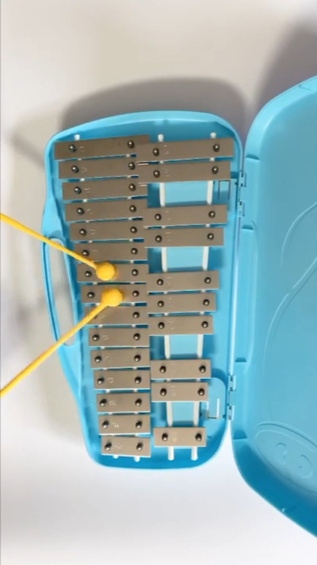 Amazon.com: RAONZENA Professional Xylophone 25-Note Glockenspiel