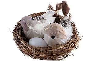 Naturalistic Feathered Bird Nest Ornament