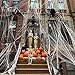 Joyjoz 1000 sqft Spider Web Cobwebs with 12 Fake Spiders Super Stretch Halloween Party Decoration Supplies for Indoor and Outdoor
