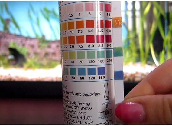 API Liquid Saltwater Marine Master Test Kit