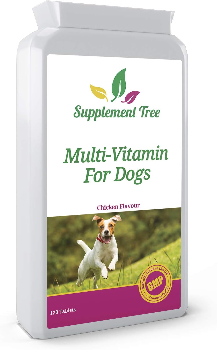 Daily Multivitamins for Dogs 120 Chewable Chicken Flavour Tablets | 24 Essential Vitamins & Minerals | Support Healthy Heart Brain Hips Joints Bones Teeth Skin & Coat | For Young or Senior Pets