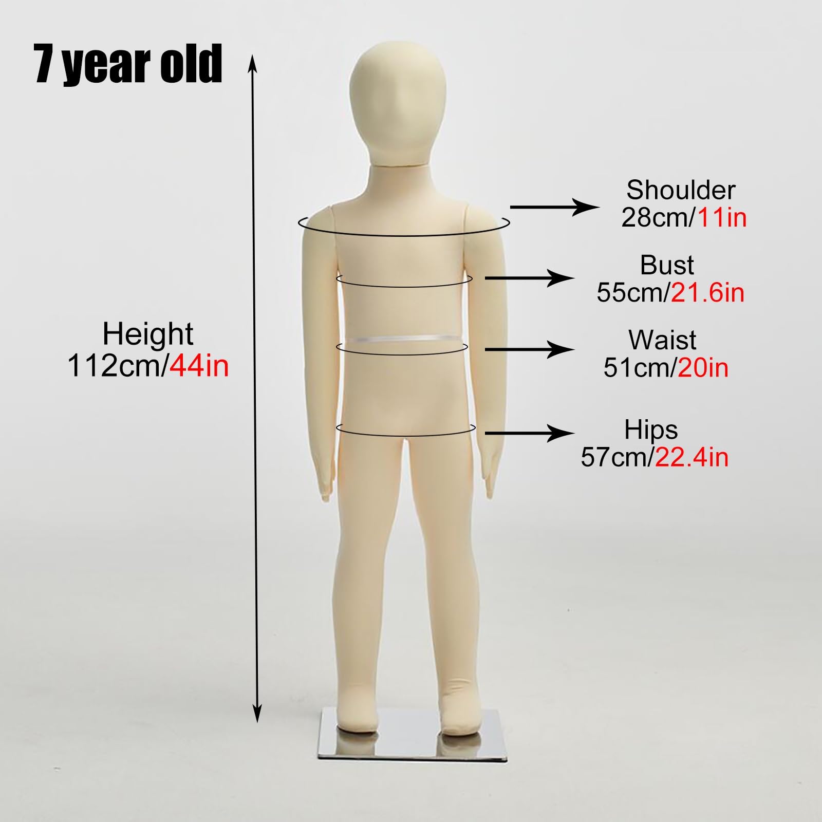 Amazon.co.jp: トルソー マネキン 赤ちゃんマネキン頭腕脚、1 2 3 4 5  