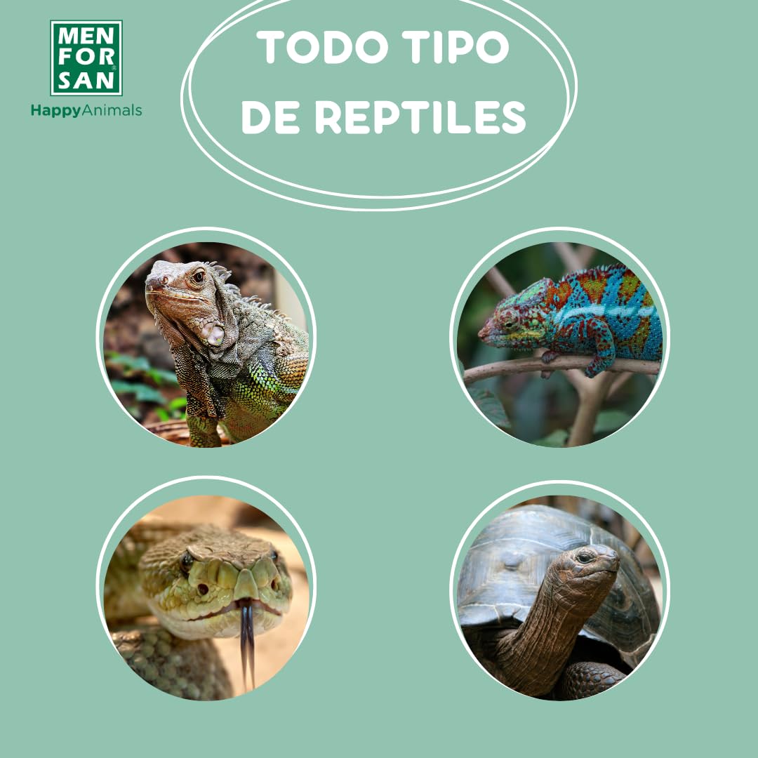 MENFORSAN Eliminador de olores terrarios | Elimina y Erradica los Malos olores | Fragancia Talco Natural | para el Entorno de Cualquier Reptil | 250 ml