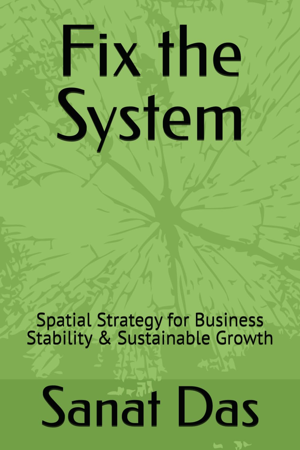 Fix the System: Spatial Strategy for Business Stability & Sustainable Growth (The Spatial Wealth & Stability Series)