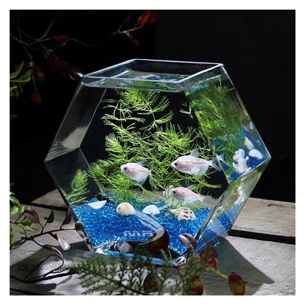 Acquario Acquario in vetro esagonale trasparente da tavolo, dimensioni grandi, for combattere, arredamento ecologico for la casa(S)