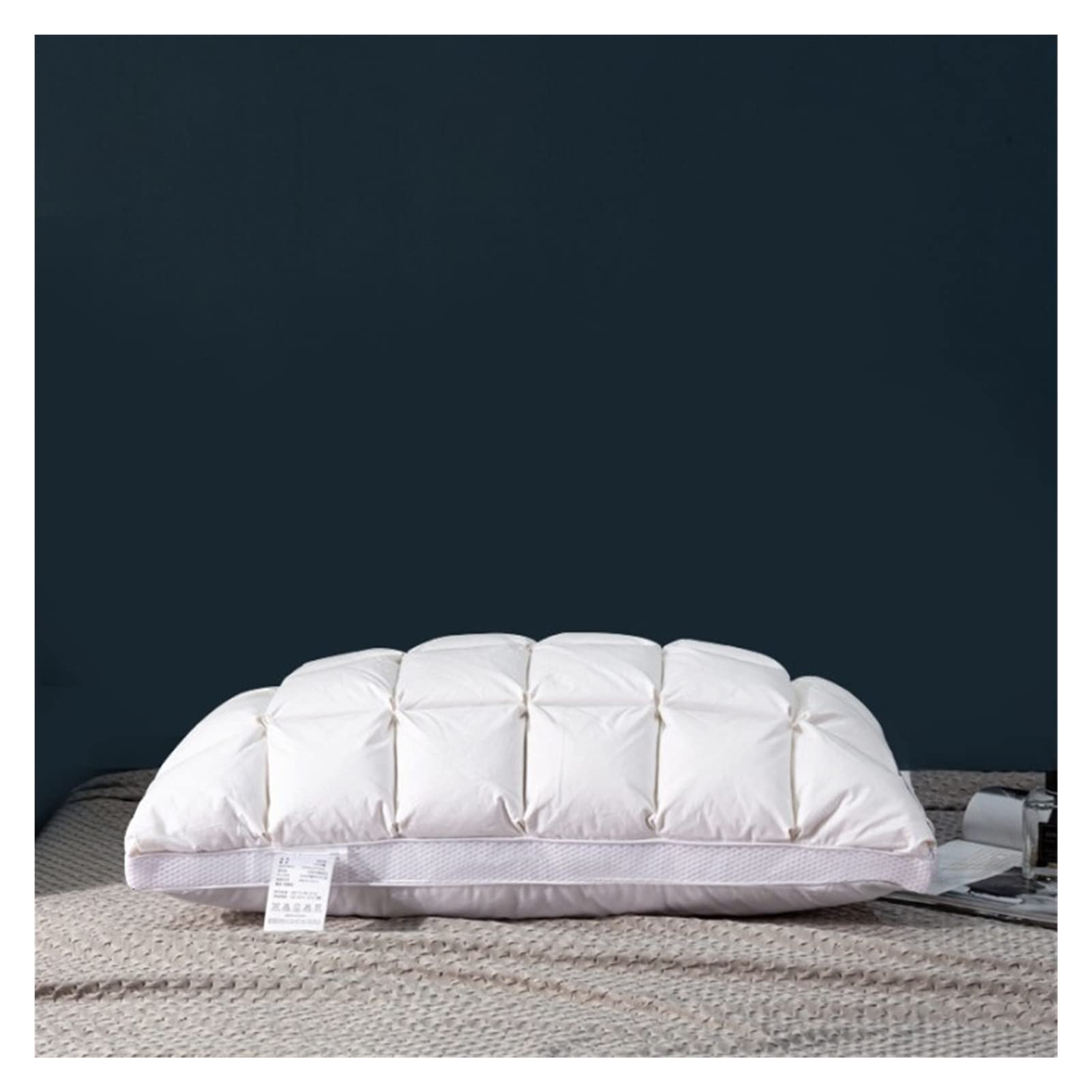 Oreillers en Plumes Blanches Douces oreiller de lit en duvet couchage 48x74 cm
