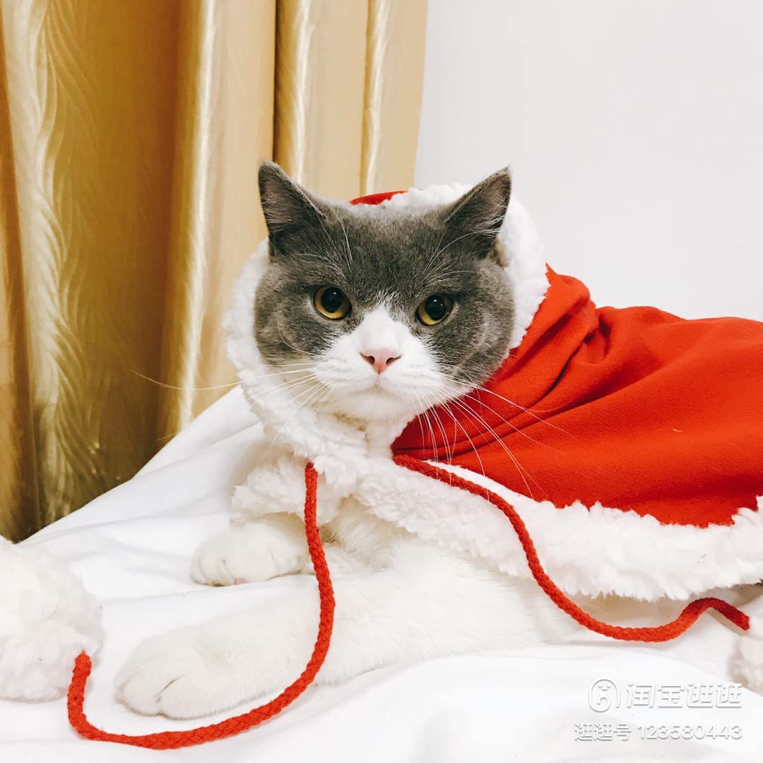 ねこネコ高さ62cm,巾34cm,奥行き28cm,大きいサンタクロース 楽天市場】ねこ肯定感 抱きまくら L 定番 アニマル抱き枕 だき