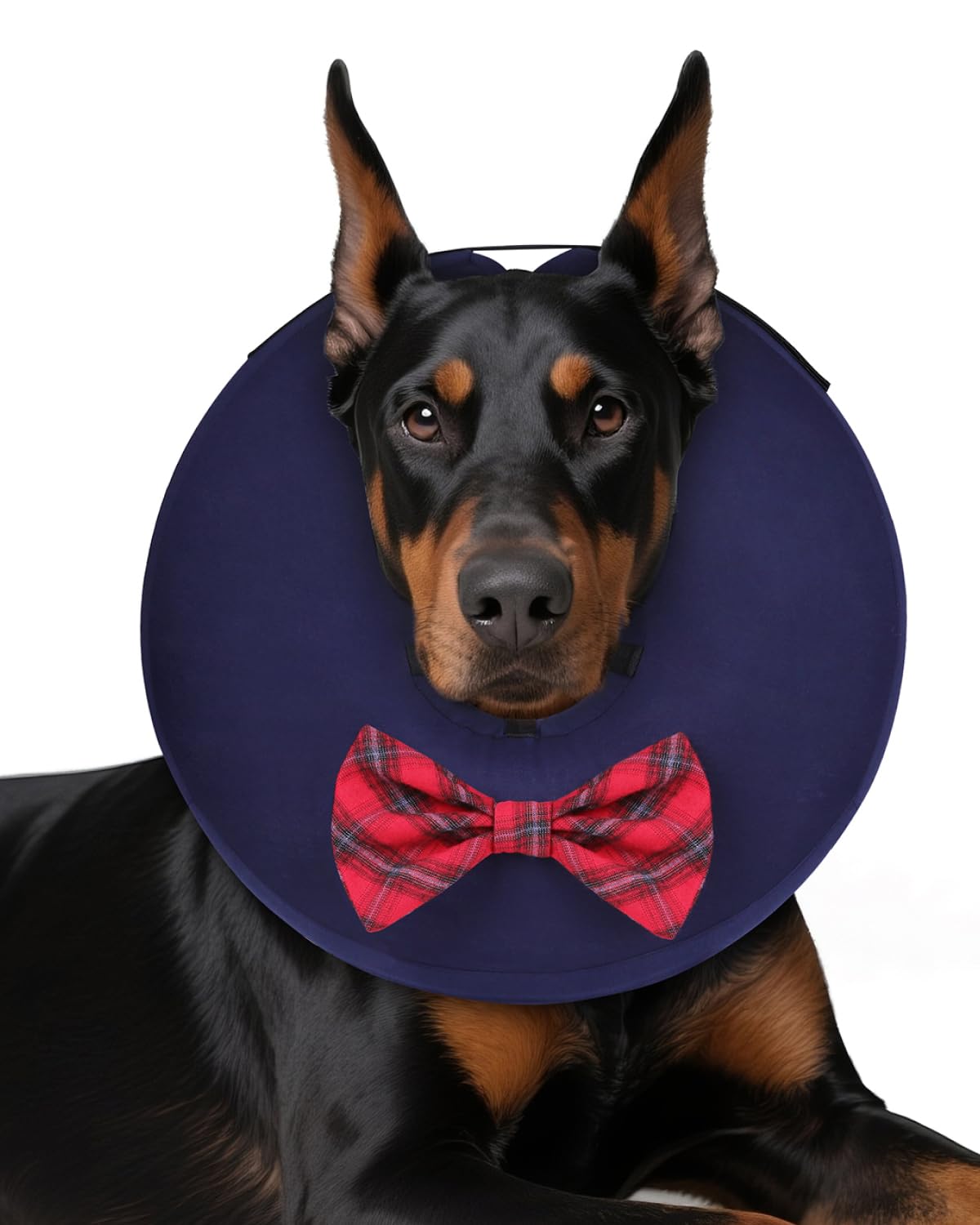 MIDOG Inflatable Dog Cone, Soft Donut Recovery Collar, Bow Tie, Large+
