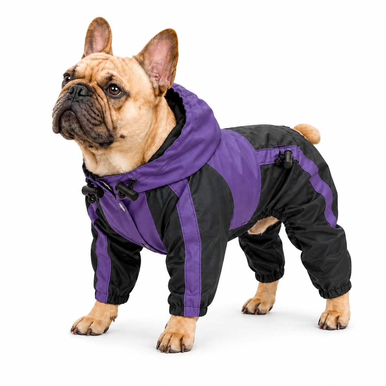 Lovelonglong American Bully Pitbull Dog Hooded Raincoat, Bulldog Rain Jacket Poncho Waterproof Clothes with Hood Breathable 4 Feet Four Legs Rain Coats for Pugs English French Bulldog Purple B-L — image 1