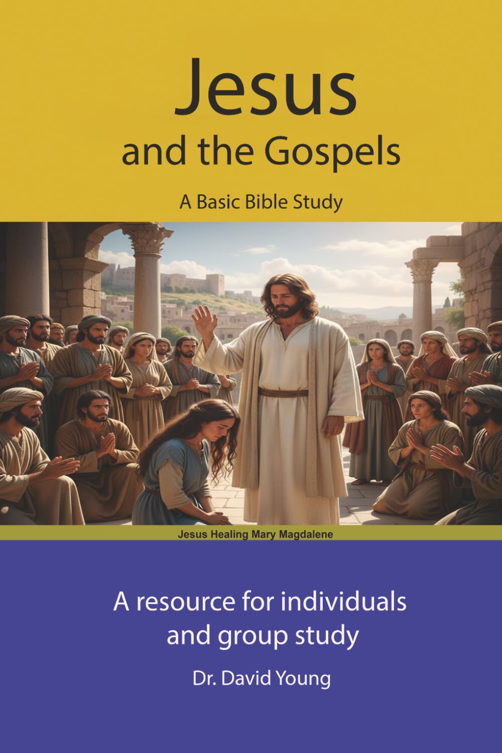 Jesus and the Gospels: A Basic Bible Study (Small Group Bible Study Series)