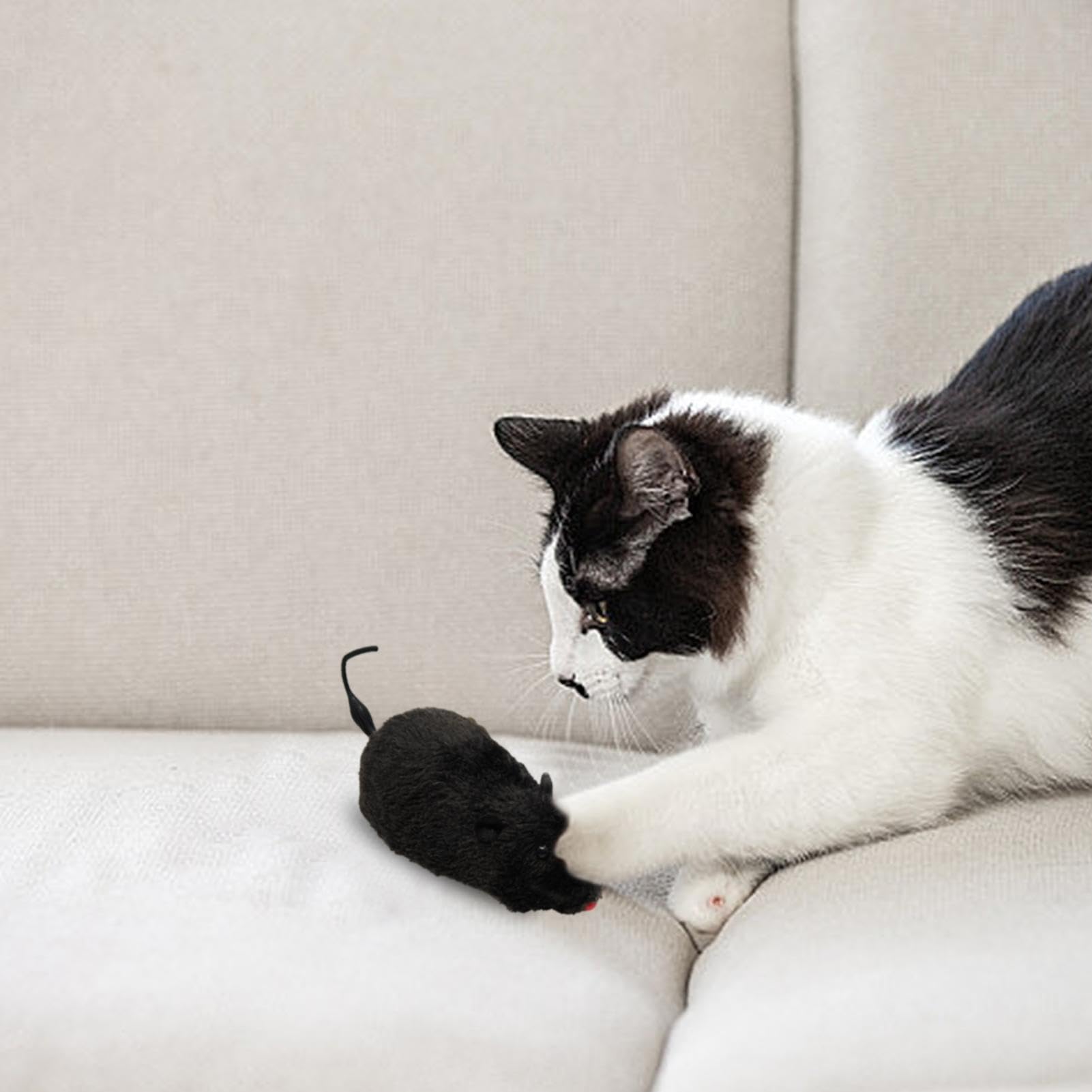 COLLBATH Interaktives Katzenspielzeug - 2 Mäuse Mit Sound Für Spielerische Katzenbeschäftigung