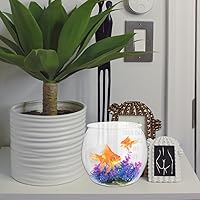 Vista 4 de Angoily Contenedor de plástico transparente para pecera, micro paisaje, para Goldfish, mesa de escritorio, pecera, decoración y adornos, accesorios