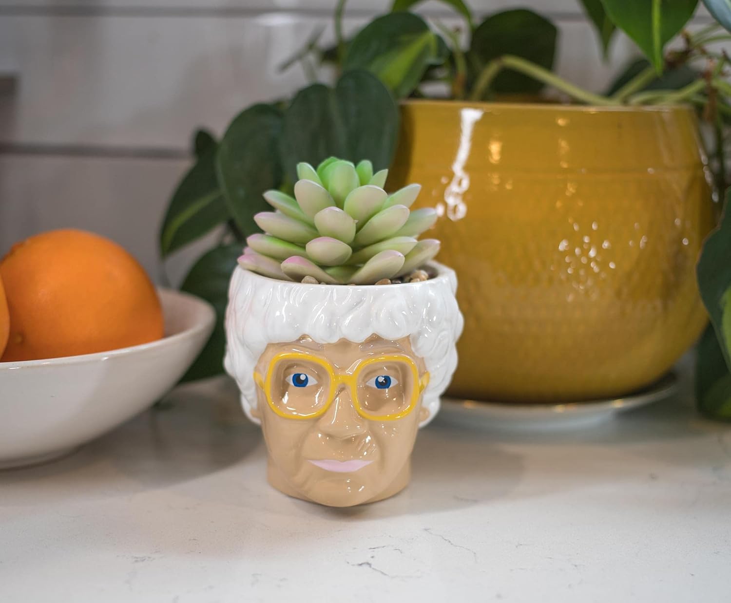 Golden Girls Sophia Face Mini Planter