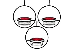 Hummble Slim Hummingbird Feeder