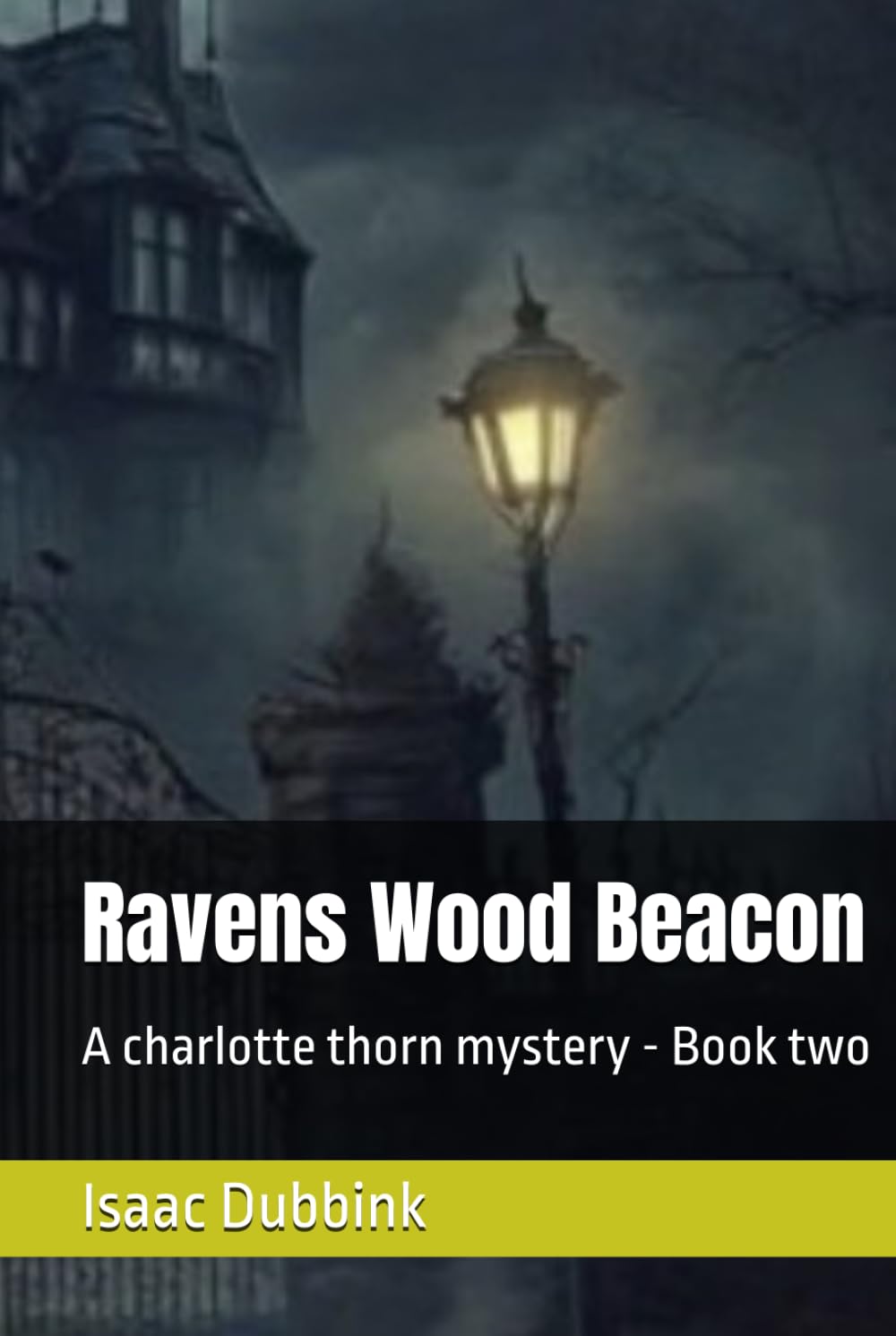 Ravens Wood Beacon: A charlotte thorn mystery - Book two