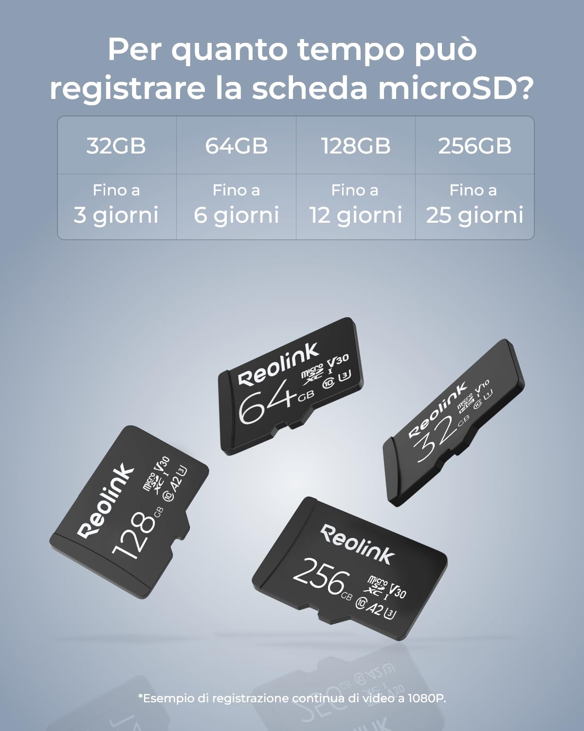 Reolink 256GB Scheda di Memoria MicroSDHC ad Alta Velocità, Classe 10, Scheda di Memoria A2 U3, Compatibile con Telecamera di Sicurezza Reolink