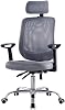Mesh Office Chair Swivel Table and Chair High Back Computer Task Chair Adjustable Backrest Headrest Armrest and Seat Height WXIFEID Color: Silver Gray
