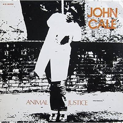 Animal Justice 12"