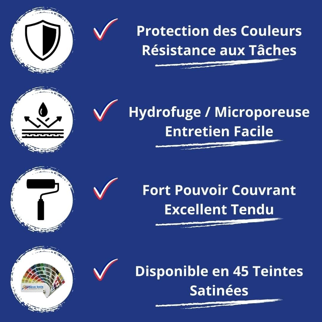 Peinture Mur Interieur - Codeve Bois/RAL 9010 - Blanc pur - 5L - Intérieur - Pour La Décoration De Votre Salon, Séjour, Cuisine Ou Chambre.