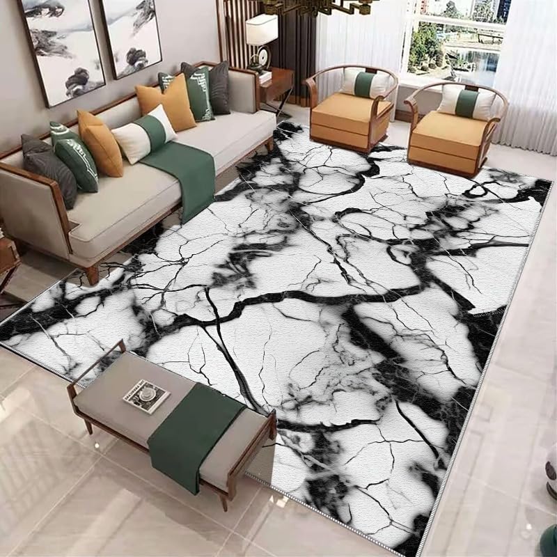Tapis de salon moderne en marbre noir et blanc lavable 160x240cm