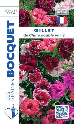 Sachet de graines de Oeillet de Chine double varié - 1,2 g - fleur annuelle - LES GRAINES BOCQUET