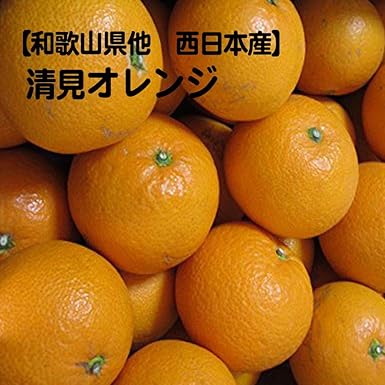 Amazon 訳あり 和歌山県他 樹上完熟 清見オレンジ 清見タンゴール大きさおまかせ 約10kg 箱売り商品 低農薬 特別栽培農産物 808青果店 オレンジ 通販