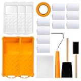 Mister Rui Paint Roller Kit, 2 Inch Foam Paint Rollers 20 Pack, Foam Paint Brushes, Small Paint Roller with Tray, Painter's Tape and Plastic Sheeting, Mini Rollers for Painting Furniture, Stenciling