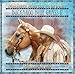 Buckaroo Blue Grass II - Riding Song