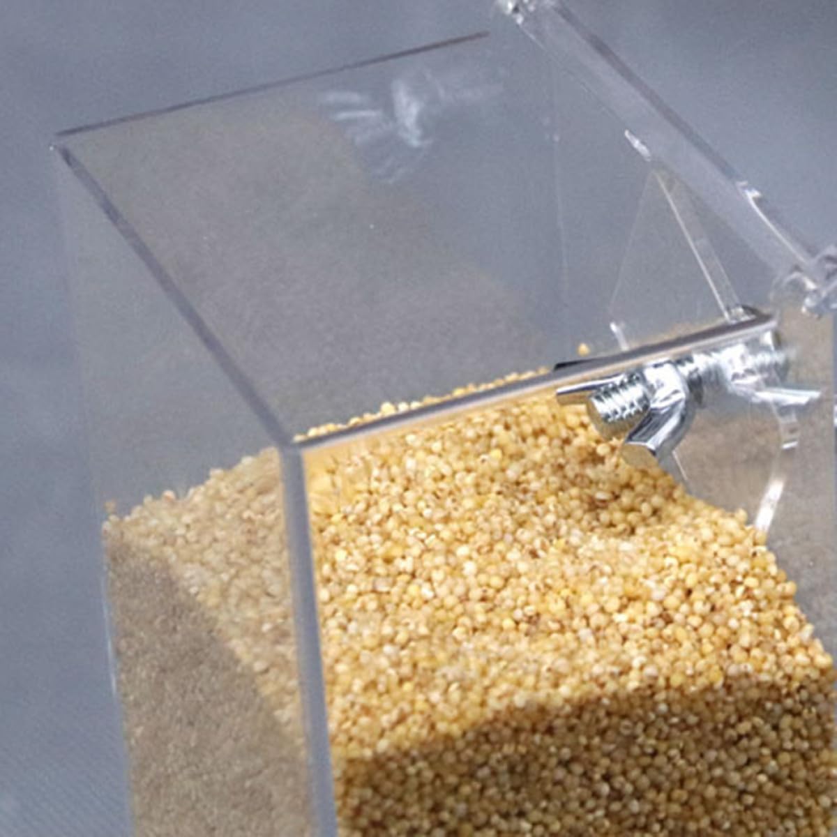 BESPORTBLE Mangiatoia Per Pappagalli in Acrilico Mangiatoia Per Uccelli Automatica Scatola Per Pappagalli e Uccelli Accessorio Per Gabbia Facile Da Installare e Pulire Piastra Regolabile Per