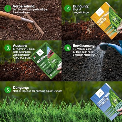 LERAVA Rasensamen Bermudagras (1 kg) - Für 100 m² - Extrem trittfest und trockenheitsresistent - Schnellwachsender Rasen für mediterrane und küstennahe Flächen - Spart bis zu 20% Wassera