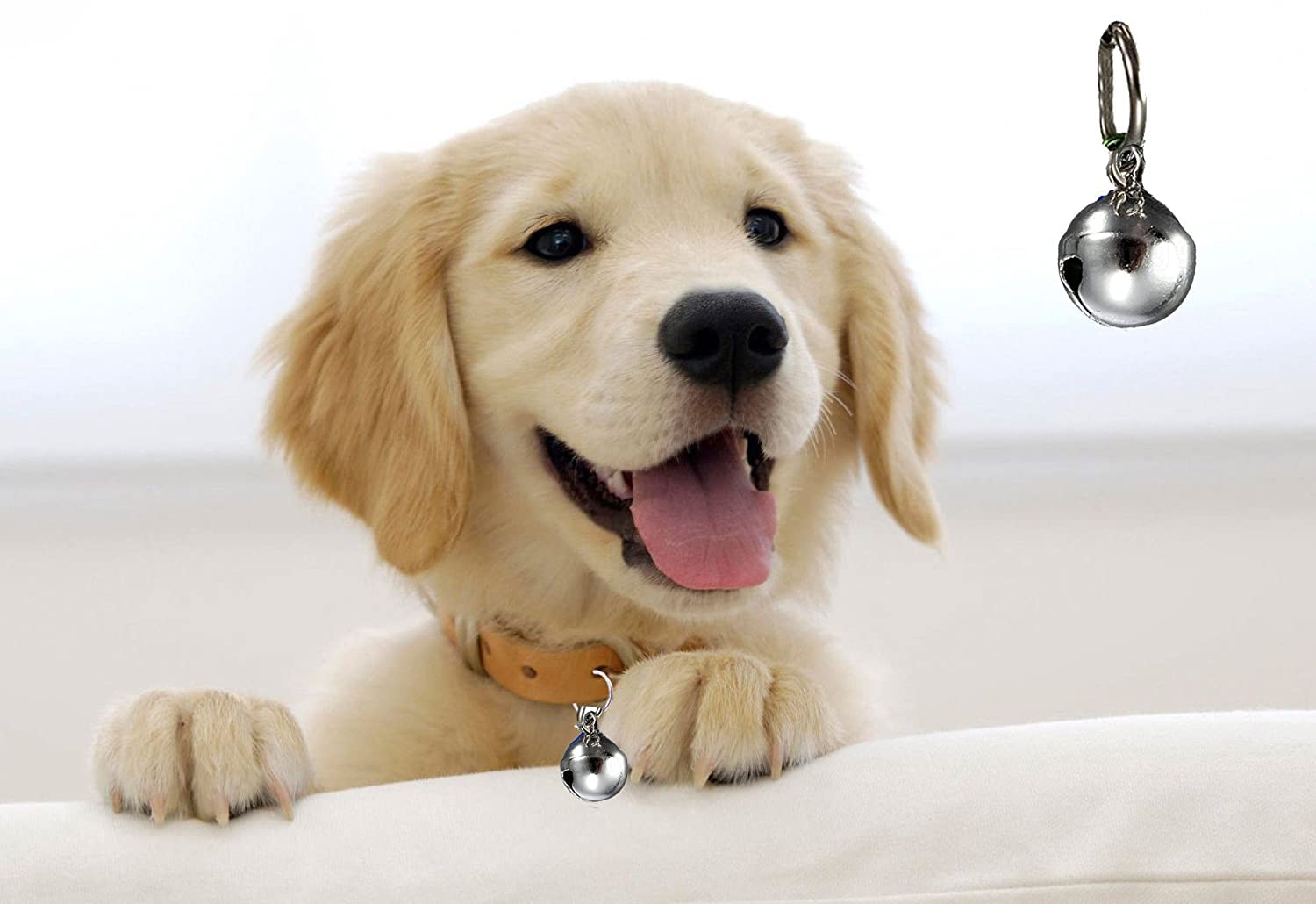 Pups&Pets Bell Collar Tag Cum Pendant for Dog / Puppy / Kitten / Cat (Silver). (B09PZHM7JZ) Amazon Price History, Amazon Price Tracker