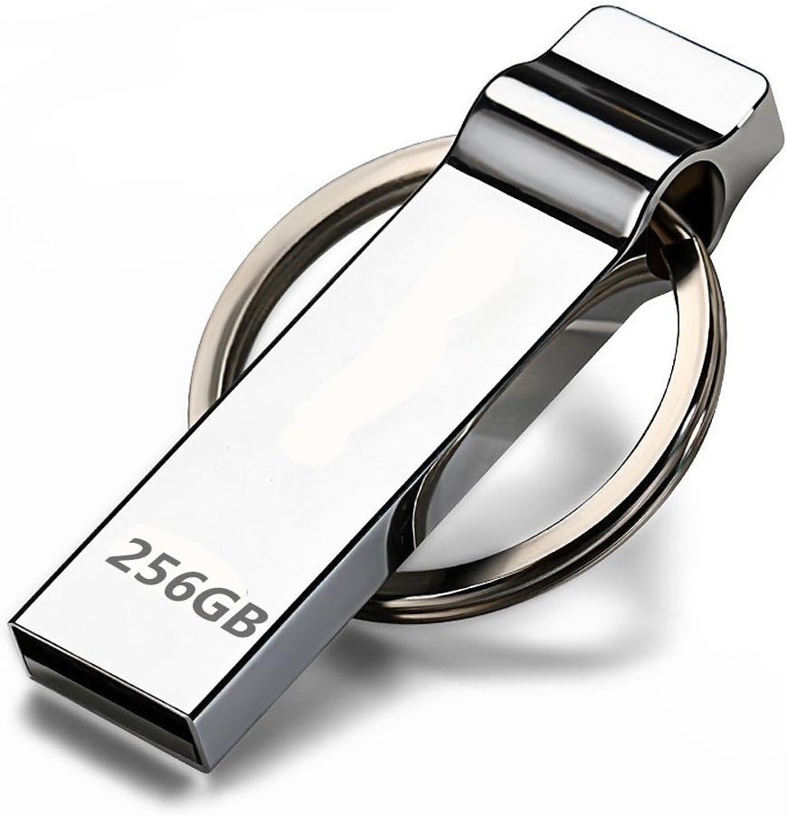 UsbDiood Thumb drive 256GB - Silver with Keychain Design / ZZ-YJb56