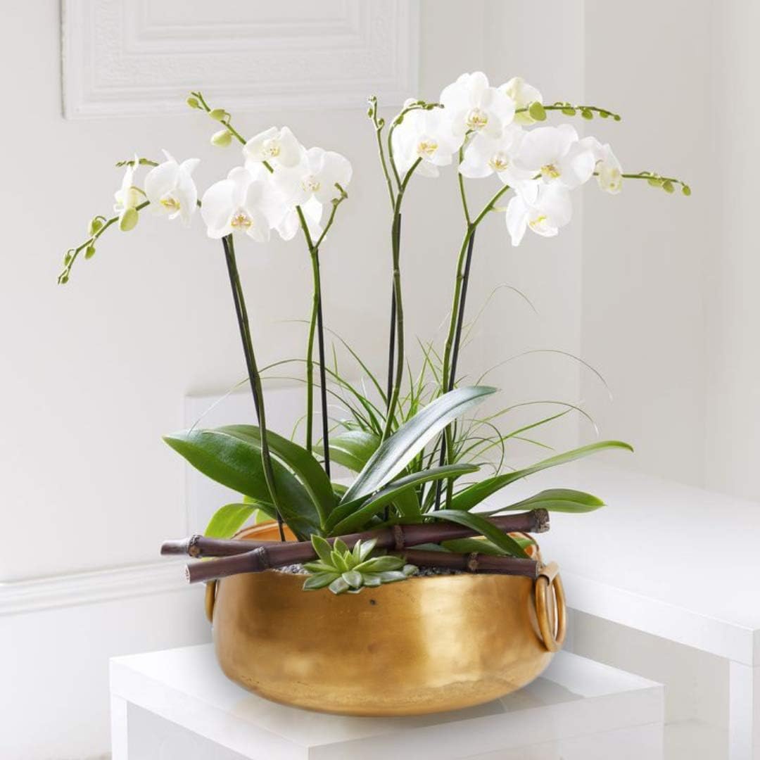 Serene Spaces Living Decorative Gold Iron Handi Bowl, Large Centerpiece Bowl - Traditional Indian Style Urli Bowl for Home, Diwali, Pooja, Potpourri, Measures 3.75" Tall & 9" Diameter: Home & Kitchen