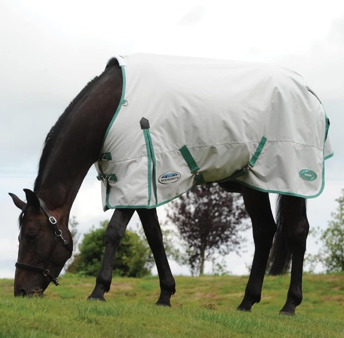 WeatherBeeta Green-Tec 900D Standard Neck Lite Plus, Light Grey/Bottle Green, 87"