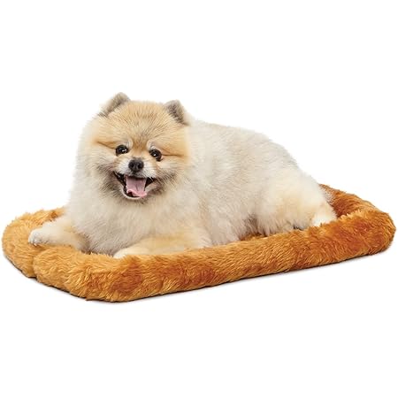 dry bed for dogs