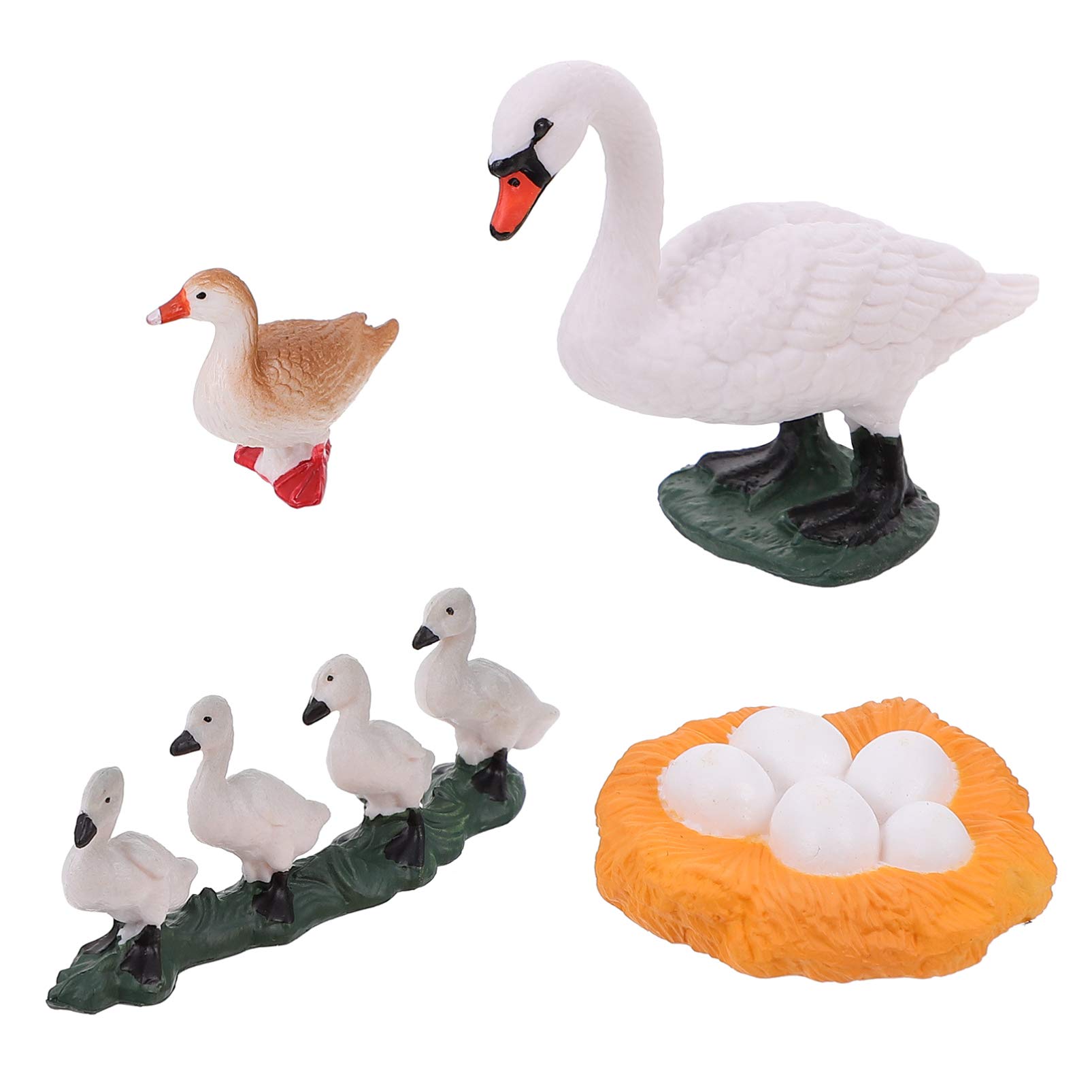 Buy DOITOOL 4pcs Life Cycle Figures of Swan Animals Biology Science