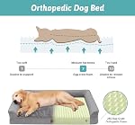 COZY KISS Lit de chien orthopédique pour Chien Extra Grande Taille, XL Bolster Pet Couch avec doublure imperméable, U Shaped Foam Sofa anti-dérapant fond avec lavable housse amovible, 112x81x18cm, gris