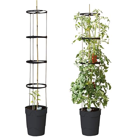 Beckmann Pflanzen-Aufzuchtturm Anthrazit 3er-Set