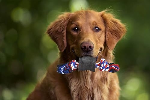 Miniatura 5 de Crazy Tails Juguetes masticables para cachorros para perros pequeños juego de juguetes para perros pequeños cuerda de algodón hueso de búfalo de 3