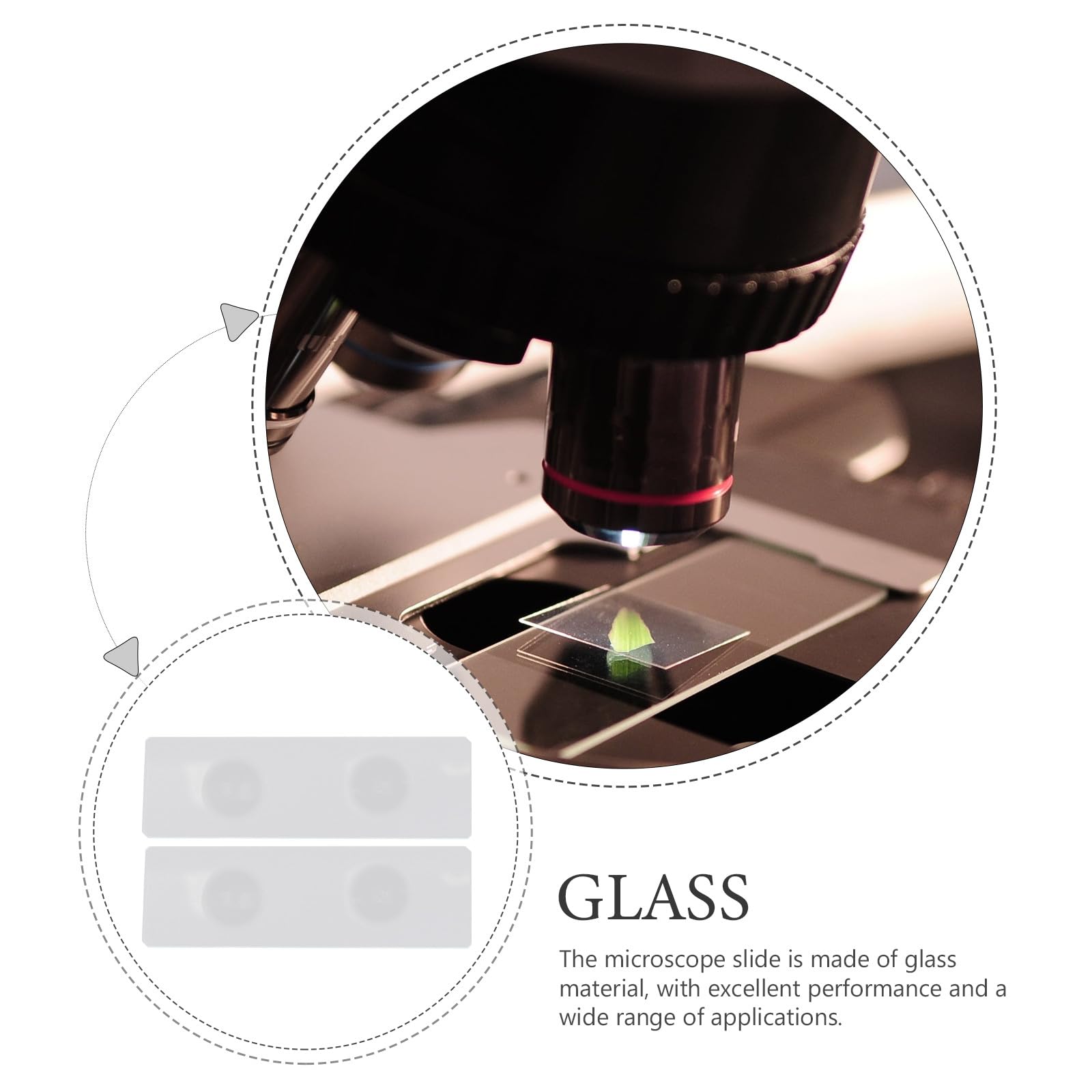Portaobjetos de Vidrio Doble Cóncavo Resistente y Estable 50 Piezas para Muestras Acuáticas para Laboratorio y Observación Precisa