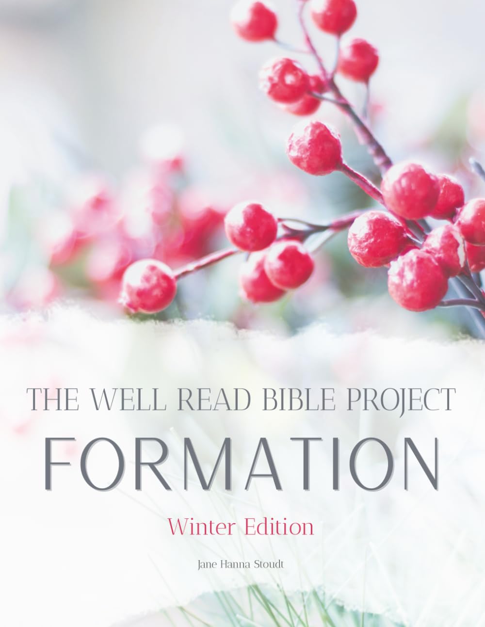 The Well Read Bible Project | Winter Edition: Formation