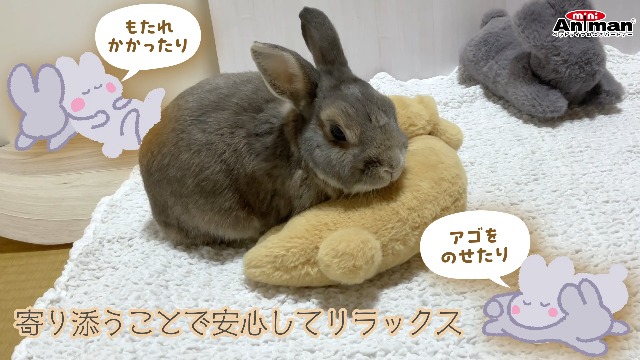 Amazon.co.jp: ミニアニマン うさぴた枕 たち耳ちゃん : ホーム＆キッチン