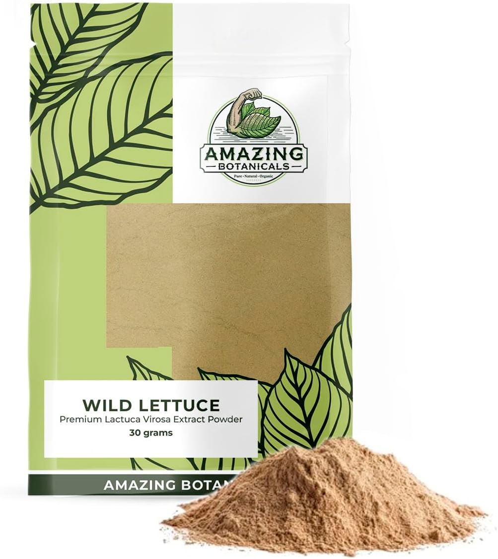 Amazing Botanicals Wild Lettuce Premium 10:1 Extract Powder - Pure and Potent Herbal Supplement for Relaxation and Relief | 30 Grams