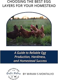 Choosing the Best Egg Layer for Your Homestead