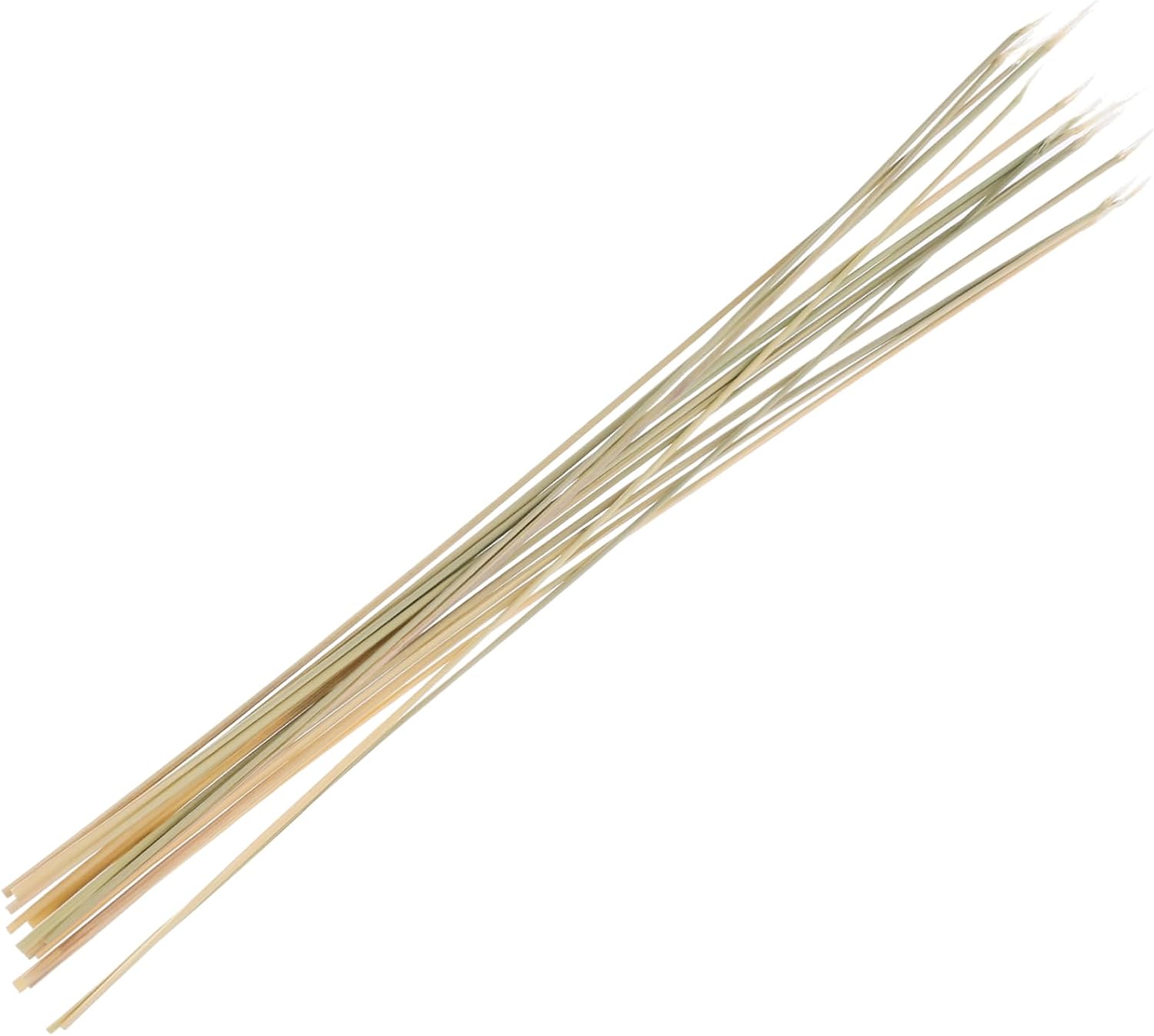 Cricket Stimulating Natural Stems for Fighting, Natural Beige Bundle