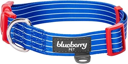 fancy dog collars amazon