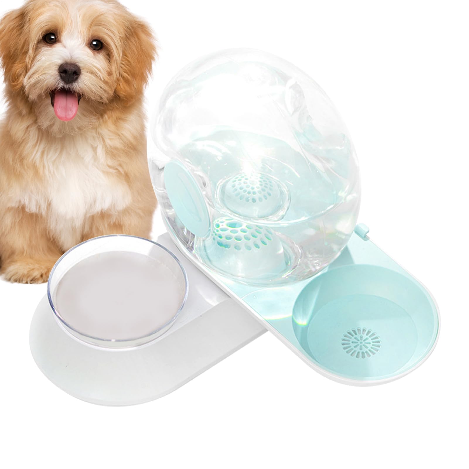 Fontaine à eau pour chat et chien avec abreuvoir à siphon et mangeoire intégrée pour animaux