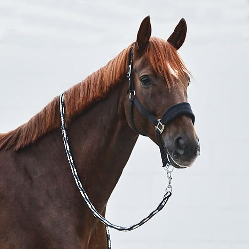 Vista 11 de HORZE Kiel Cabestro ajustable con forro polar acolchado - rojo oscuro - Pony