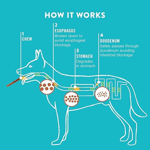 Miniatura 6 de TRURANCH Rollos de colágeno  Rollos de colágeno de 9 pulgadas para perros  Premio saludable de apoyo articular de larga duración  Alternativa de